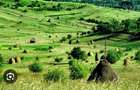 Vand teren 15,66 hectare in judetul Cluj, Stejeris, pasune - 1