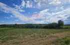 Teren de 12000 mp, în Pădureni (Șendriceni) - 3
