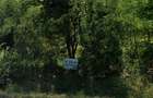 Vand Teren situat pe DN6 intre Mehadia si Baile Herculane - 2