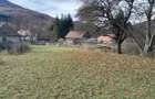 Teren 4196 mp, in inima naturii, in Valea Dobarlaului!