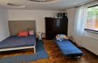 Casă cu 2 camere cu Teren 222 Mp în Rudului