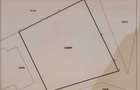 Teren 603 mp cu proiect de casa autorizat Corunca, str. Crinului - 4