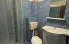 apartament 2 camere cu parcare,gradina, piscina in sector 4 - 11