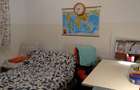 Apartament cu 2 camere decomandat în Bucureștii Noi - 9