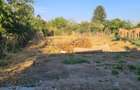 Casă individuală cu 2 camere cu Canalizare în Berceni - 15