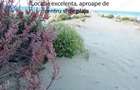 Apartament 2 camere de inchiriat, Constanta, Centru, langa Plaja Aloha - 4