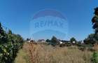Casă cu 4 camere cu Teren 3370 Mp în Central - 32