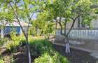 Casa cu teren 10 ari - 3