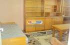 INCHIRIERE apartament 3 camere Brancoveanu (Izvorul Rece) - 19