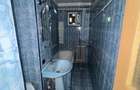 Apartament de vanzare - Craiovita Noua - 6