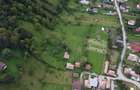 Teren Construcții de 17000 mp, în Valea Doftanei - 3