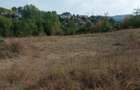Teren intravilan 4350 mp in Campina - 7