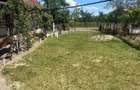 Casa de vanzare in jud.Satu Mare - 7