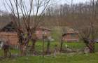 Casa + teren de vanzare, sat Poieni, comuna Densus, Hunedoara - 2