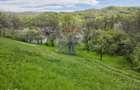 Teren intravilan 4.733 mp - Drajna de Jos, Prahova - 2