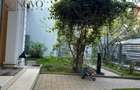 Apartament cu 5 camere decomandat în Armeneasca - 5