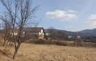 Teren Viseu de Sus Simion Barnutiu(zona Peny) - 6