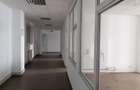Spațiu comercial, de 20,000 mp, în Timișoara - 13