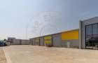 Inchiriere hala noua zona Bascov la DN 7C - 6