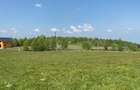Teren 1.500 mp in Parcul Natural Apuseni, Ra?ca, front 24 m, drum in curs de asfaltare