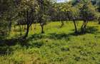 De vanzare teren intravilan 2.500 mp ,15euro/ mp,sat Ulmetel, Rm.VL - 1