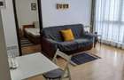 Apartament cu 2 camere semidecomandat în Tătărași - 4