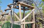 Vand casa ( teren 2.000 mp) in sat Pietrele, jud. Giurgiu - 2