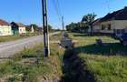 Casă individuală cu 4 camere cu Teren 1650 Mp în Bacova - 4