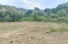 2 Parcele de teren extravilan zona Bradet Pret 3000eur/ar neg usor - 4