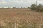 Teren de vanzare - 22800mp - Parc Industrial km 23 - 7