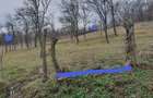 Teren intravilan de vanzare 800 m , Livezi (General Berthelot) - 1
