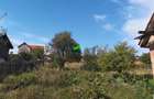 Casă individuală cu 2 camere cu Teren 750 Mp în Șura Mare - 3