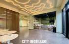 Spatiu comercial 250 mp + terasa 70 mp, Grigorescu, Parter, Ideal HoRe - 3