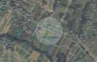 Pachet investitie terenuri Bor?a Cluj 37.839 mp | 12.039 mp intravilan - 13