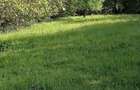 Proprietate cu 2 case si teren 1.596 mp in Campulung Muscel, Valea Romanestilor - 1
