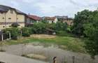 Teren Intravilan Ro?u Ilfov - 3
