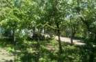Vila 9 camere***gradina pomi fructiferi//1085 mp teren***Dragomiresti- - 15