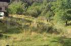Casă individuală cu 4 camere cu Teren 6000 Mp în Cacova Ierii - 10