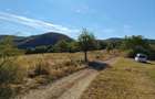 Vand teren extravilan 3,54 hectare - 4