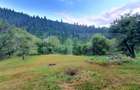 Teren intravilan, 31 ari, Ilva Mica, zona montana - 6