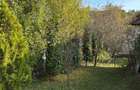 Vand casa in Vulcana de Sus, DB - 7