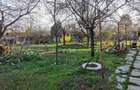 Casa cu teren 1.000 mp in Frumusani, aproape de Bucuresti - 7