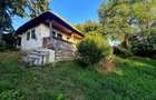 Teren Intravilan 3250 mp / Casa batraneasca / Pausesti Maglasi - 2