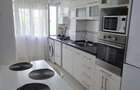 Apartament 2 camere de inchiriat- Ostroveni (zona Maidan) - 3