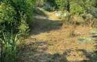 Casa de vanzare 7km de craiova teren 2400mp - 7