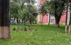 Apartament cu 2 camere semidecomandat în Rahova - 2