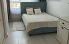 Apartament cu 3 camere decomandat în Nicolina - 4
