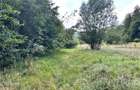 Teren Construcții intravilan de 4000 mp, în Brădet - 15