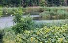 Teren agricol extravilan de 4500 mp, în Moara Vlăsiei - 1