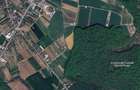 LOT DE VANZARE cu deschidere la padurea Snagov - 6